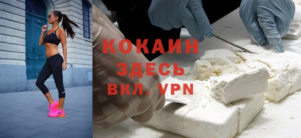 дмт Абаза